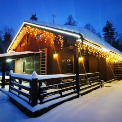 Фото Отель Хутор Vilppula (Вилпула)