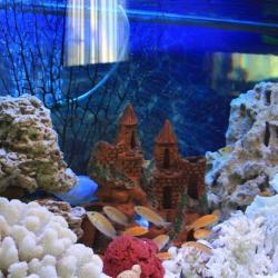 Фото Отель Плаза