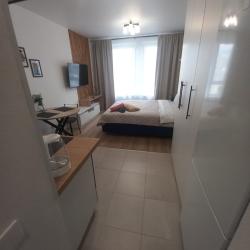 Фото Апартаменты на улице Сосновая 5