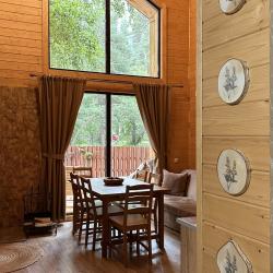 Фото Отель Шишка