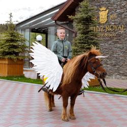 Фото Отель Arkhyz Royal Resort & SPA ( Роял Резорт)