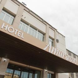 Фото Отель Амурассо