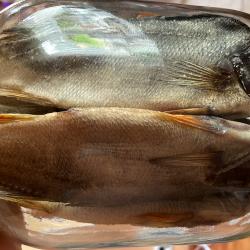 Фото Отель Гостевой комплекс Сосны