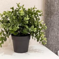 4-местные 1-комнатные апартаменты стандарт ул. Сергея Джанбровского, 3