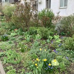 Фото Апартаменты на улице Авиагородок 15