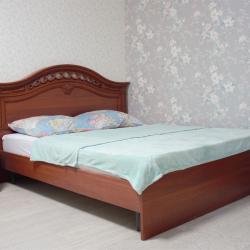 Фото Апартаменты на улице Белинского 25