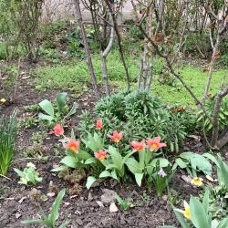 Фото Апартаменты на улице Авиагородок 15