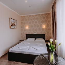 2-местный номер стандарт с 1 двуспальной кроватью