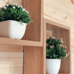 Фото Отель Лотос