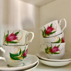 Фото Отель Тортуга