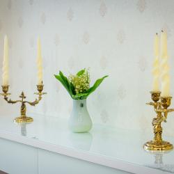 Фото Апартаменты на улице Виноградная