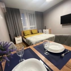 Апартаменты улучшенные Нижегородская обл., Нижний Новгород, ул. Героя Советского Союза Аристархова, 7