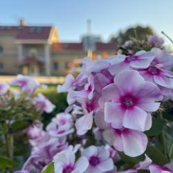 Фото Отель Студия 23