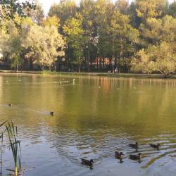 2-комнатные апартаменты люкс №1