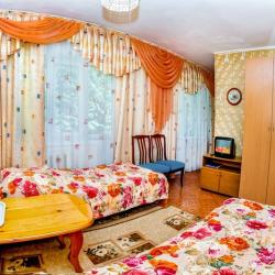 Номер стандарт с 2 односпальными кроватями (с пансионом)