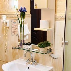 Апартаменты улучшенные Полулюкс Шоколадный