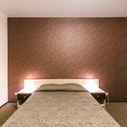 Номер эконом с 1 двуспальной кроватью