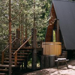 Фото Отель Хвойная хижина