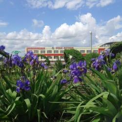 Фото Отель Роза Ветров