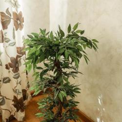 Фото Отель Разгуляй