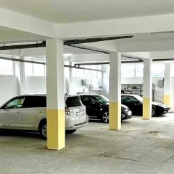 Фото Отель Олива