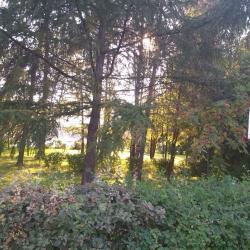 2-комнатные апартаменты люкс №1