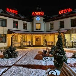 Фото Отель Алино