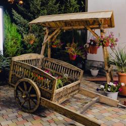 Фото Отель Метелица