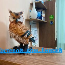 Фото Отель Енисей