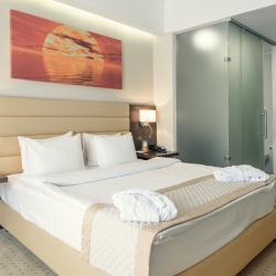 Фото Отель Comfort Hotel Astana (Комфорт Астана)