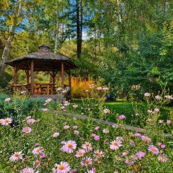 Фото Отель Каменный цветок