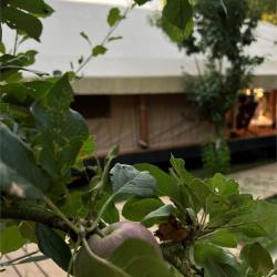Tent-house (с фурако) 5