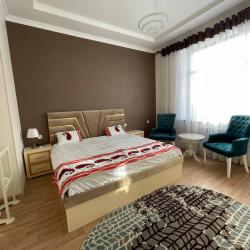 Фото Отель Panjakent Plaza (Панджакент плаза)