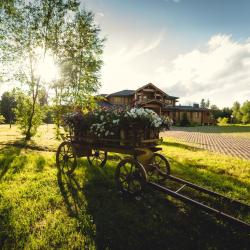Фото Отель Cosmos Collection Izumrudny Les Hotel (Космос Изумрудный Лес)