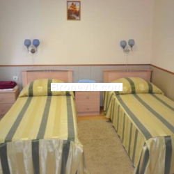 Номер стандарт с 2 односпальными кроватями (с завтраком)