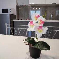 2-комнатные апартаменты стандарт