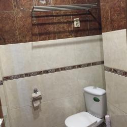 Фото Отель Левша