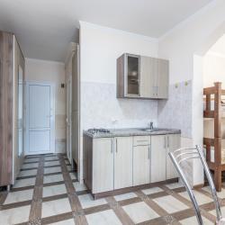 1-комнатные апартаменты стандарт №3