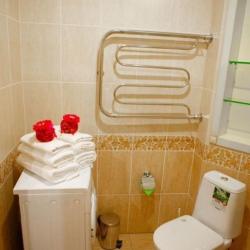 Фото Апартаменты на улице Авиационная 17 корпус 1