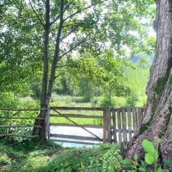 Фото Отель База отдыха Страна души