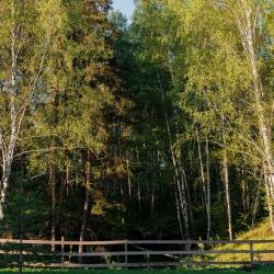 Фото Отель Куль Сканди