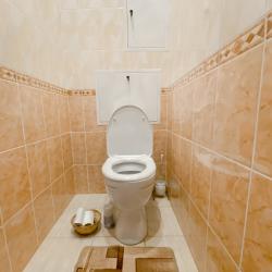 Фото Отель Pryanik Apartments (Пряник Апартментс) на проспекте Ленина 112