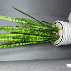 Фото Отель Гостиный двор