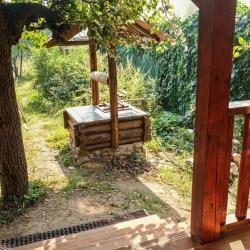 1-комнатный номер Дачный