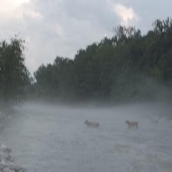 Фото Отель База отдыха Страна души