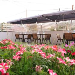 Фото Отель Futuro (Футуро)