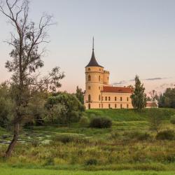 Фото Отель Замок Бип