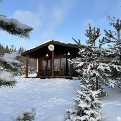 Фото Отель Филина Гора