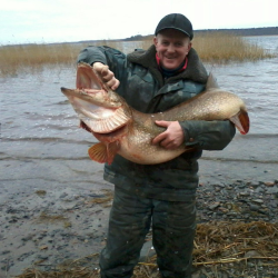 Фото Отель Гостевой комплекс Сосны
