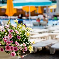 Фото Отель ская